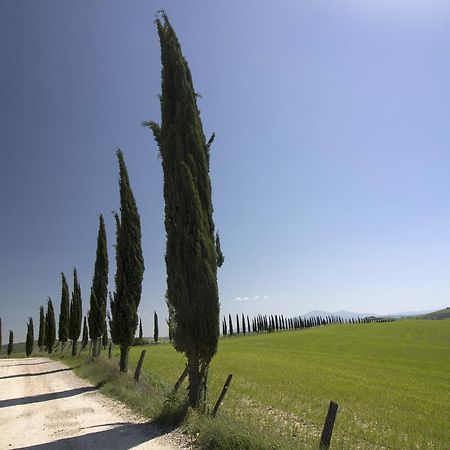 Baldovino Di Monte Bed and Breakfast Monte San Savino Exterior foto