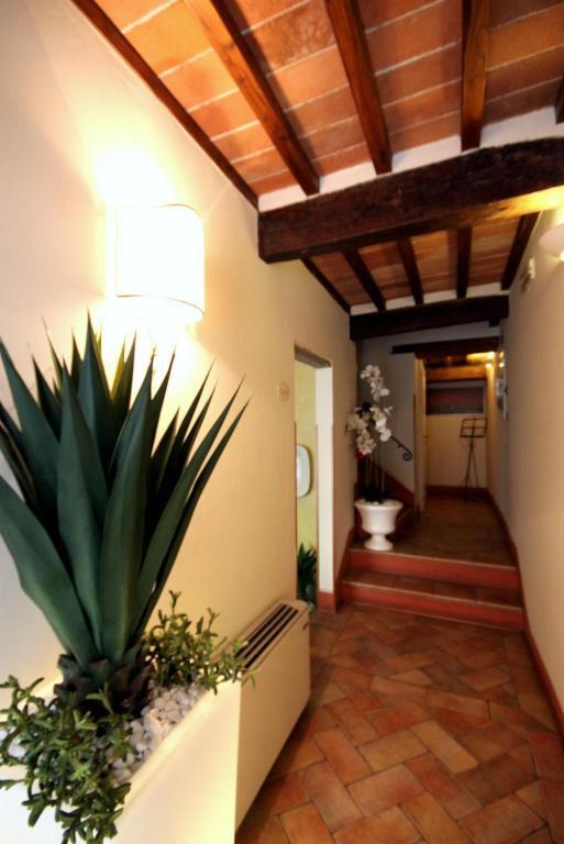 Baldovino Di Monte Bed and Breakfast Monte San Savino Exterior foto
