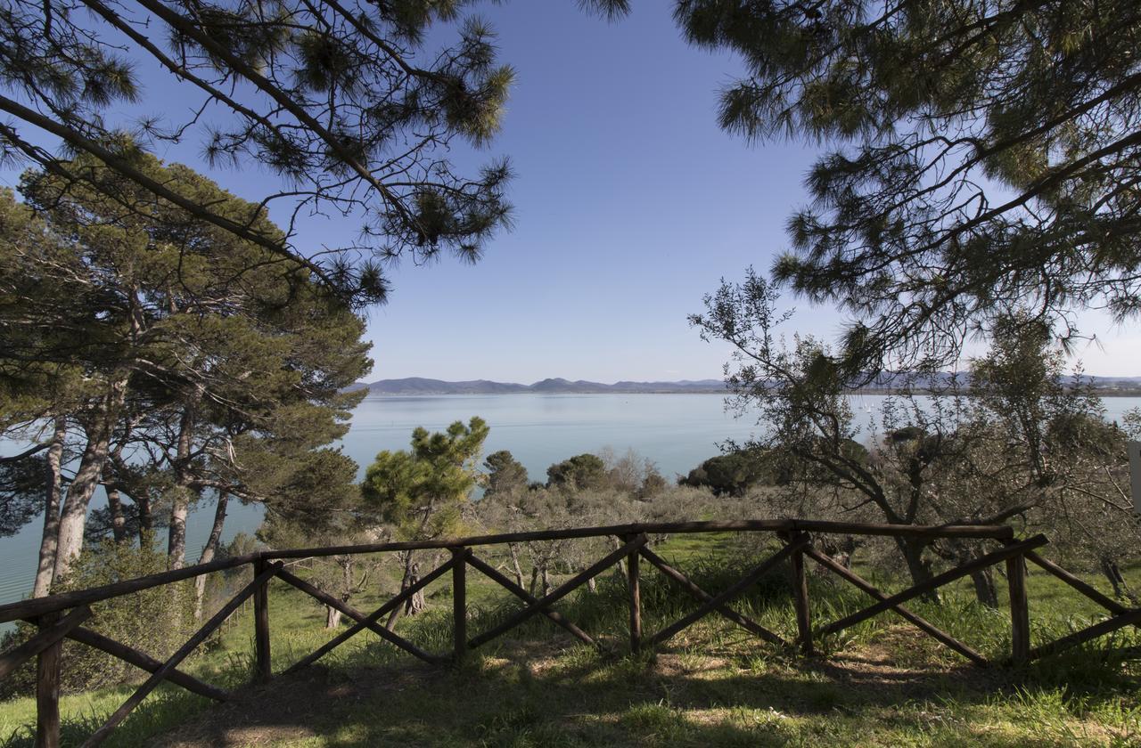 Baldovino Di Monte Bed and Breakfast Monte San Savino Exterior foto